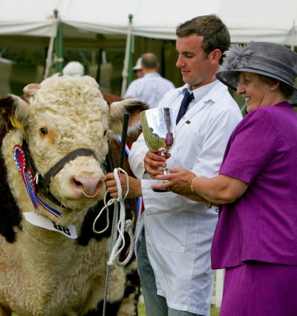 National Hereford Show 1