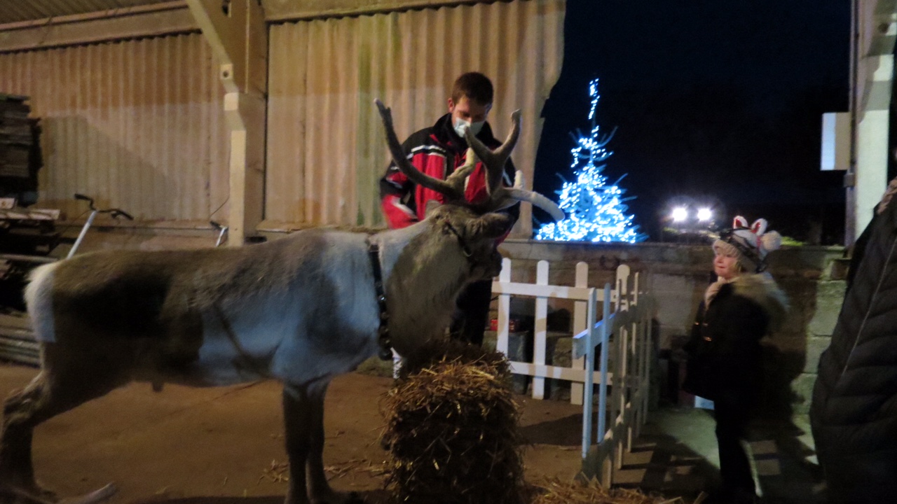 Carols in the Barn