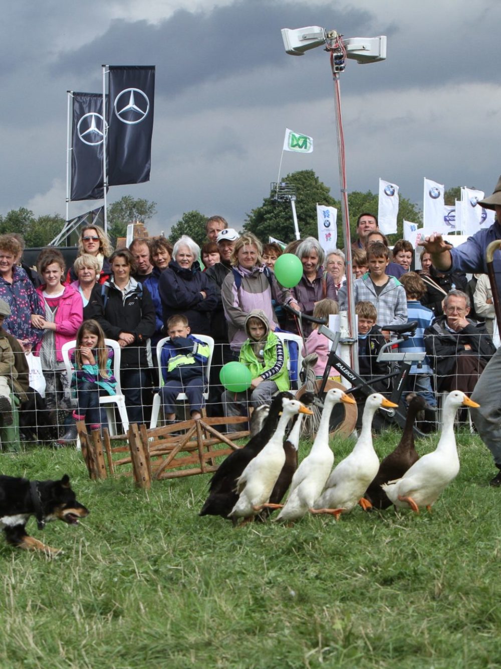 Stuart Barnes Dog & Duck