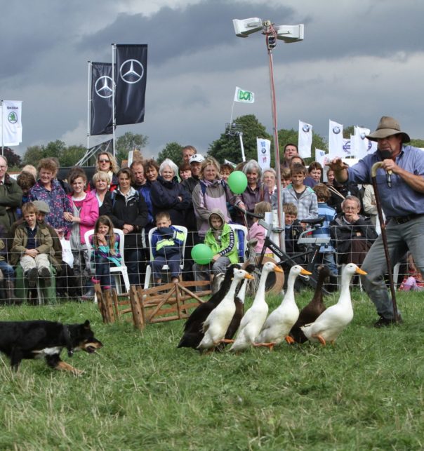 Stuart Barnes Dog & Duck