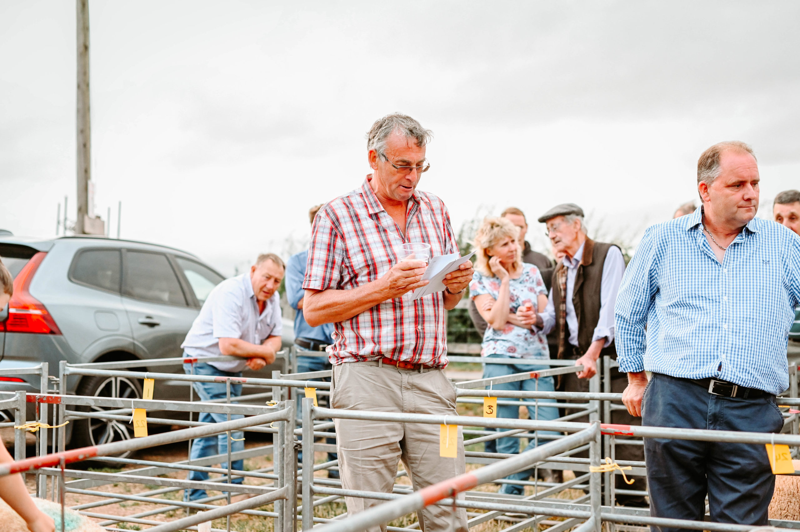 Live Lamb Competition 2022 3