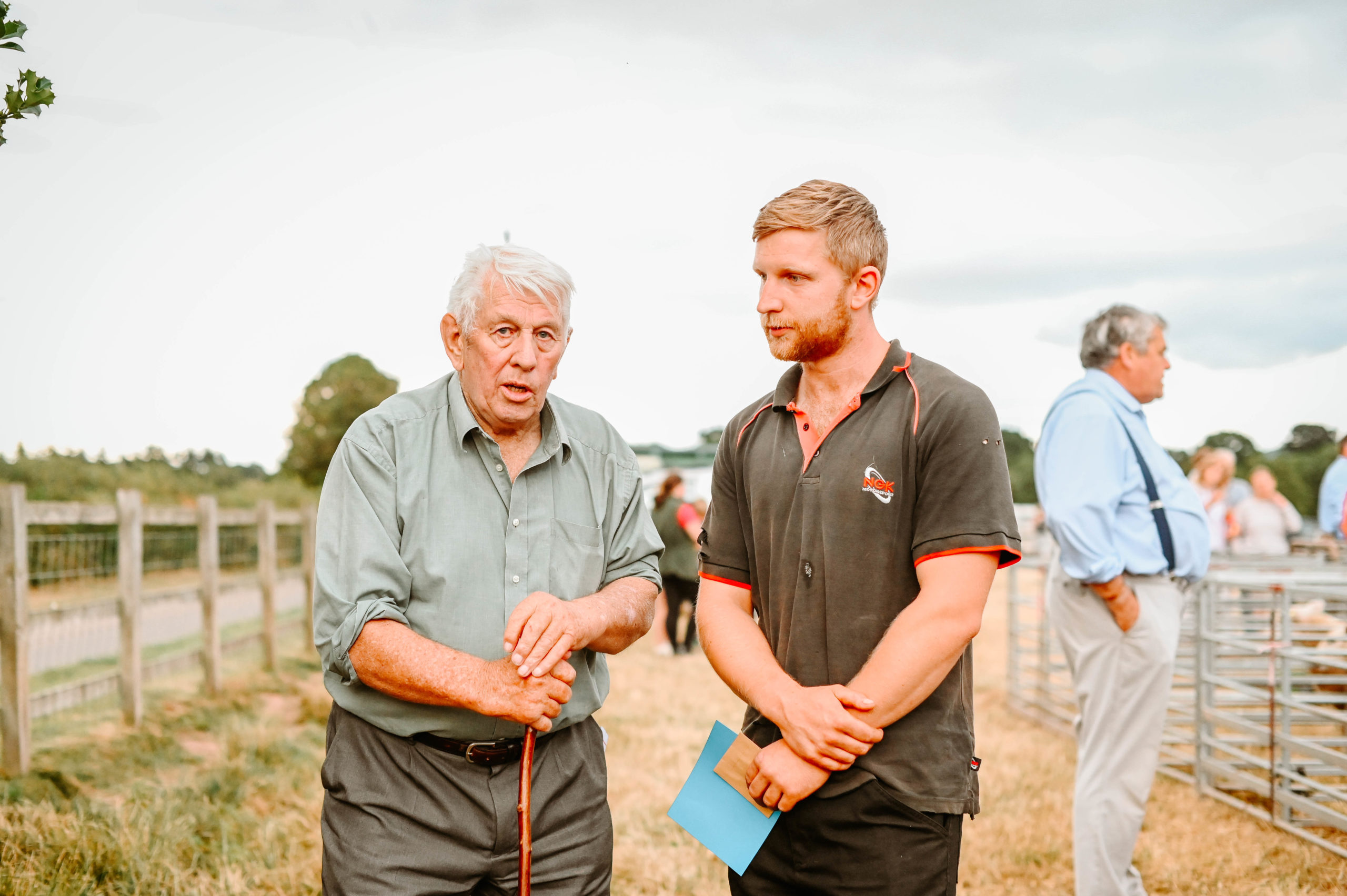 Live Lamb Competition 2022 6