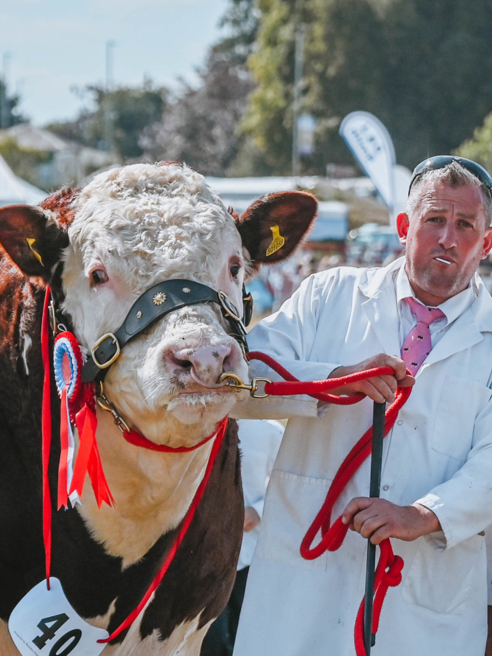 National Hereford Show 2